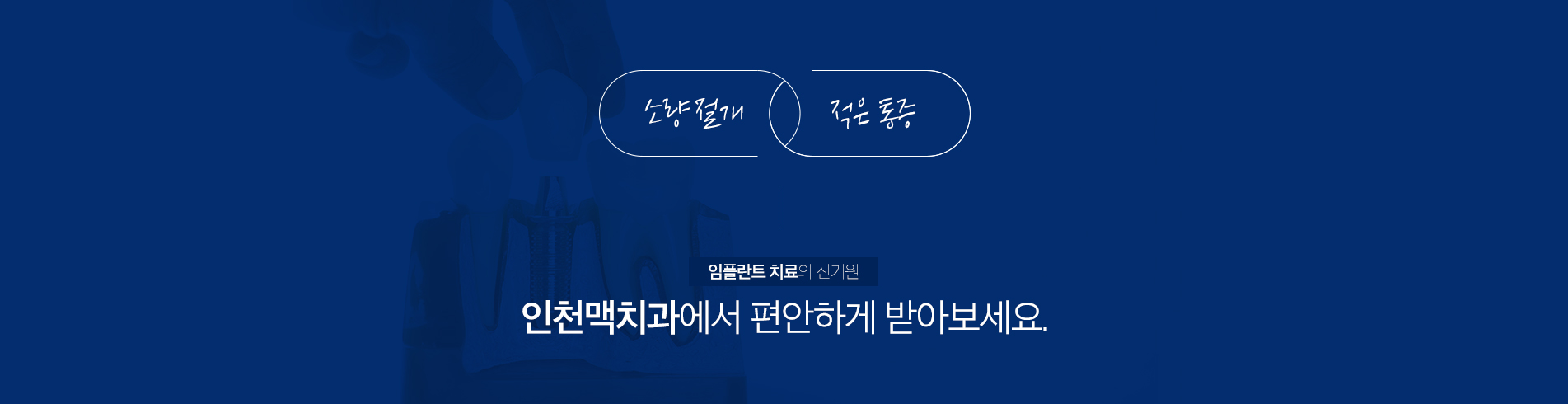 전체 임플란트